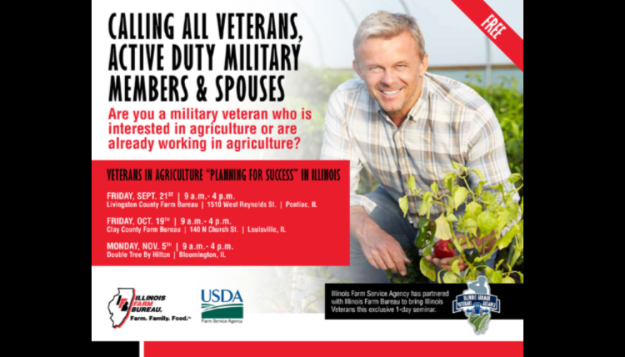 American legion essay contest illinois